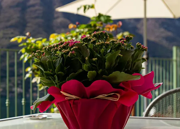 Appartement Romantic - Nesso